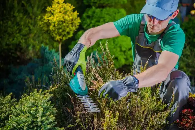 landscaping services Wellsville